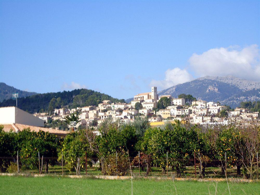 Finca Son Olive Selva  Exteriér fotografie