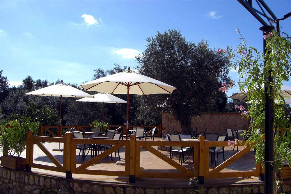 Finca Son Olive Selva  Exteriér fotografie