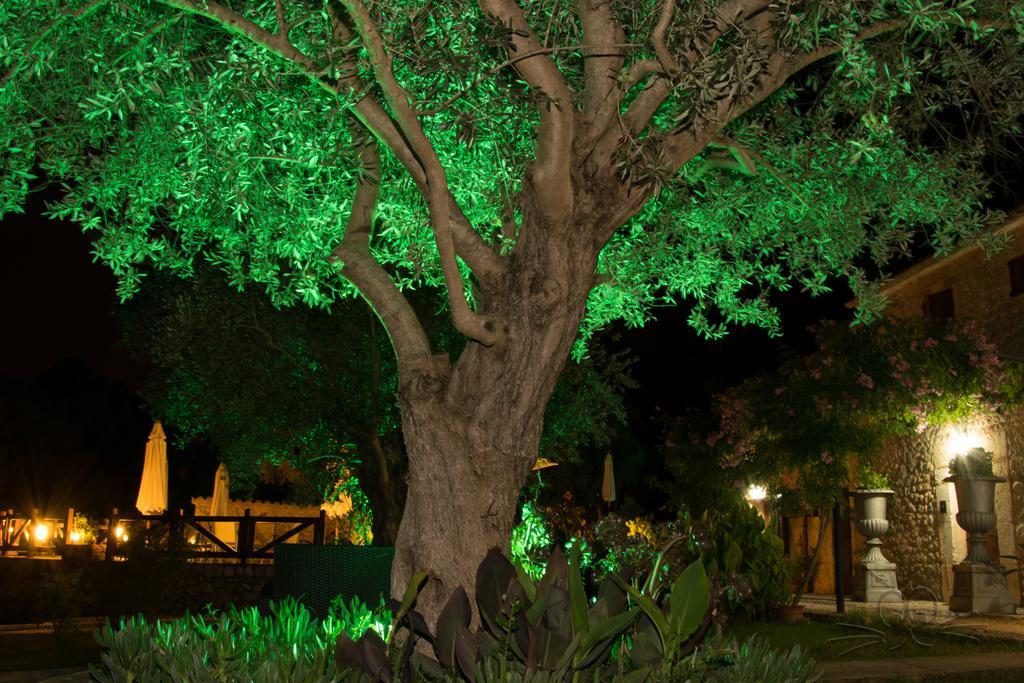 Finca Son Olive Selva  Exteriér fotografie