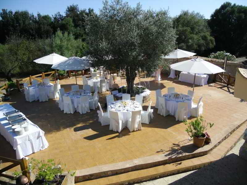 Finca Son Olive Selva  Exteriér fotografie