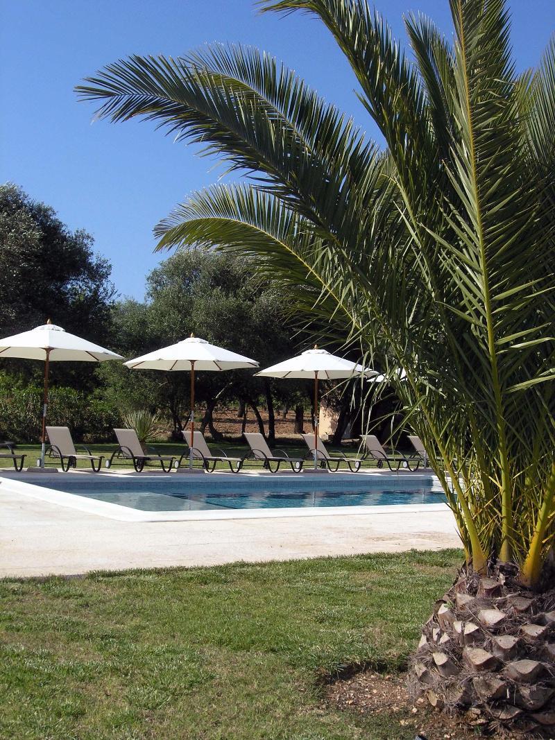 Finca Son Olive Selva  Exteriér fotografie